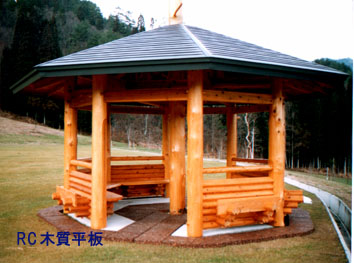 例