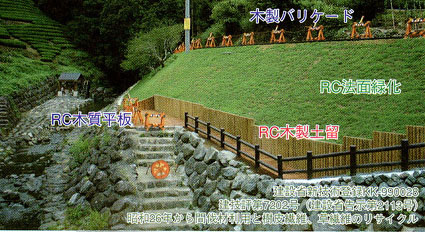 例