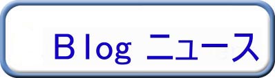 2.Blog